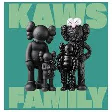 КНИГА KAWS FAMILY 27 СМ