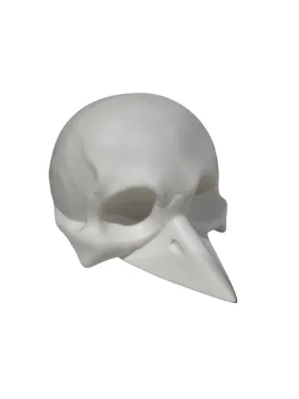 СЕРГЕЙ САФОНОВ GODOT SKULL