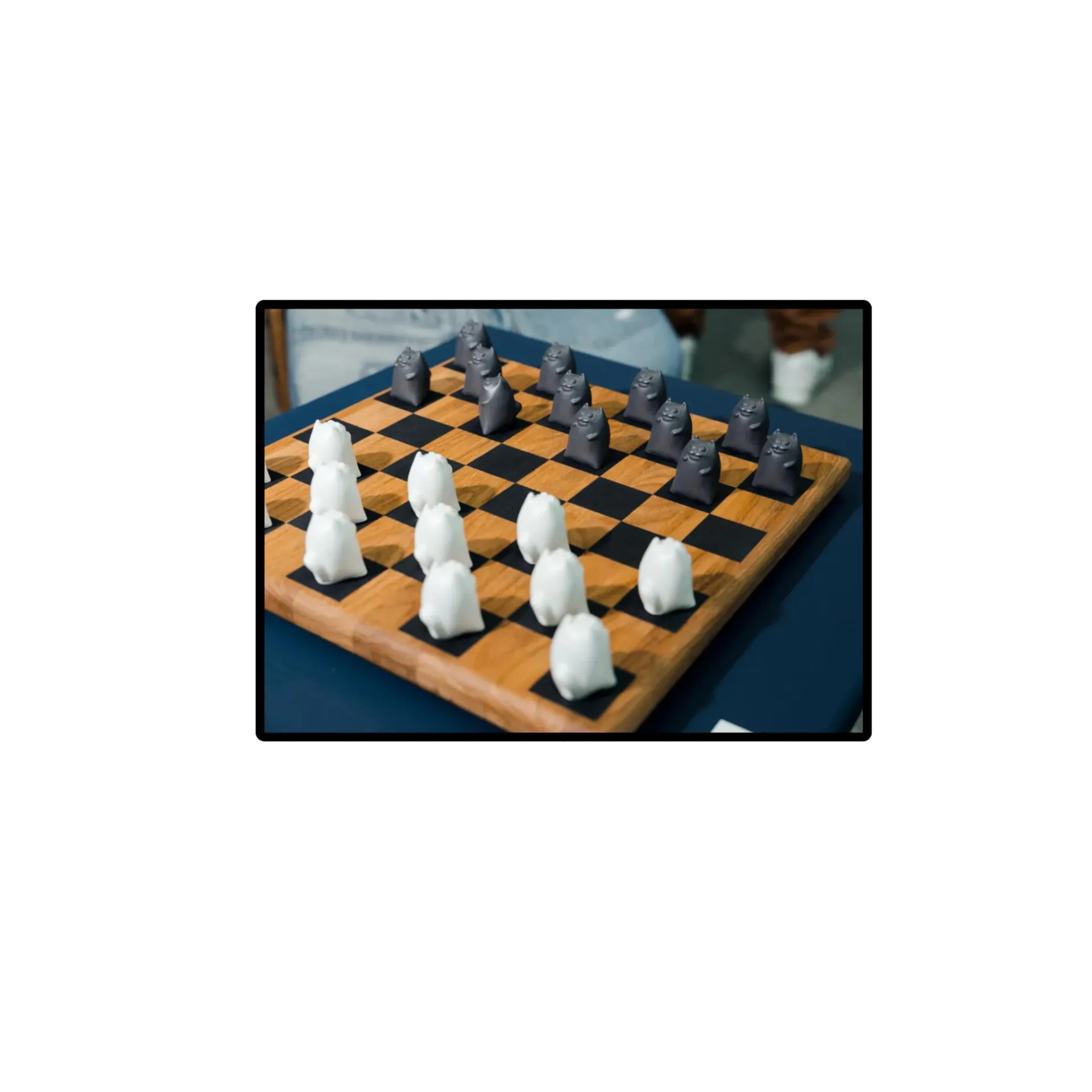 ПАРШИН ФЕДОР НОВИКОВА ДАРЬЯ ШАШКИ КОТЫ ЖЕЛАНИЙ